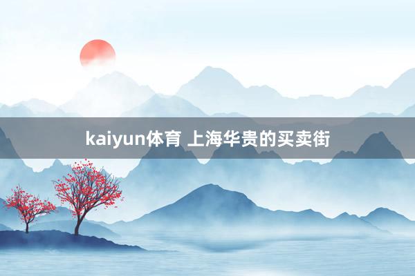 kaiyun体育 上海华贵的买卖街