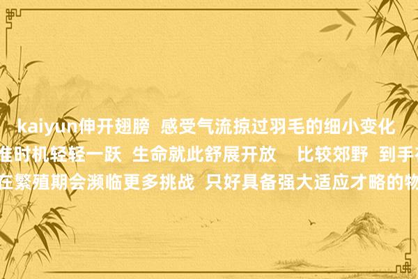 kaiyun伸开翅膀  感受气流掠过羽毛的细小变化  接着用劲挥动翅膀  看准时机轻轻一跃  生命就此舒展开放    比较郊野  到手在城市落脚的野无邪物  在繁殖期会濒临更多挑战  只好具备强大适应才略的物种  材干成为城市的假寓者  衍生后代  面积不及0.6闲居公里的  洪湖公园  记录到的鸟类有160多种  在这里还有哪些  险境求生的生命故事?  CCTV-9播出的  《城市野性住户》 