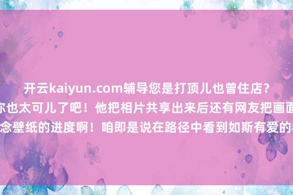 开云kaiyun.com辅导您是打顶儿也曾住店？”网友一下就被它诊疗到了你也太可儿了吧！他把相片共享出来后还有网友把画面处置了你们望望这是不错作念壁纸的进度啊！咱即是说在路径中看到如斯有爱的狗狗确凿很加分天下上莫得狗狗奈何能行啊！by小红书@jshsk  发布于：广东省-kaiyun网页版